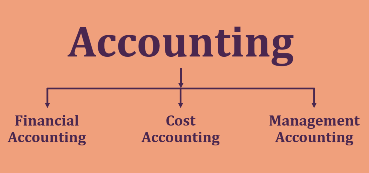 What Is Accounting and How Accounting Works?