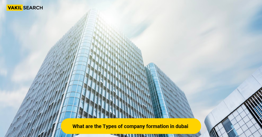 what-are-the-types-of-company-formation-in-dubai-vakilsearch