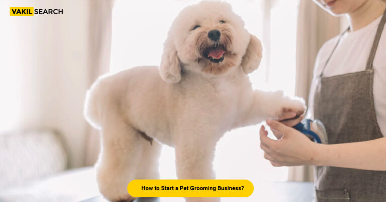 how-to-start-a-pet-grooming-business