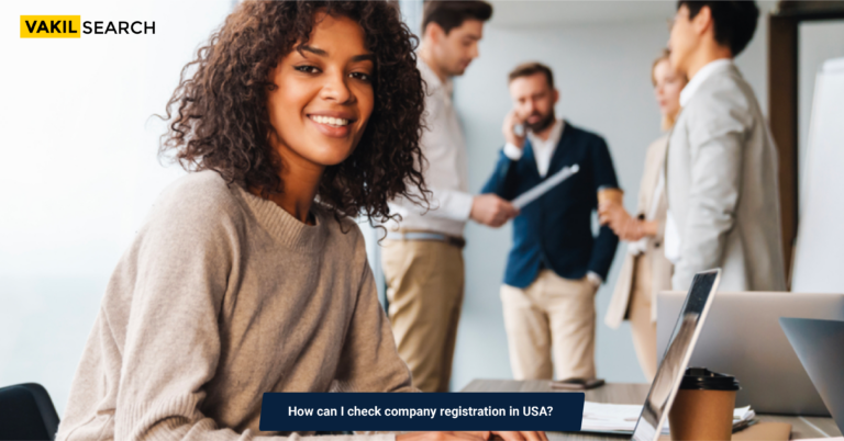 Check Company Registration in the USA