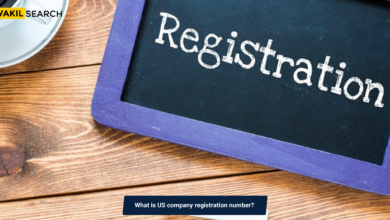 What is a US Company Registration Number?